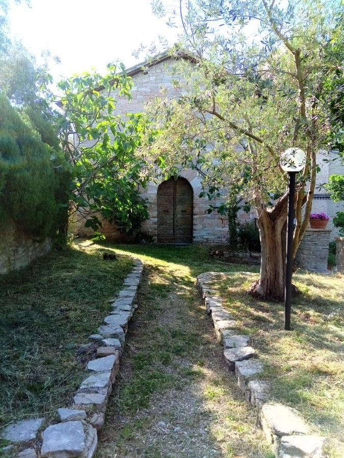 Residenza Messer Pajola 아시시 외부 사진